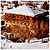 Hotel InterContinental Mzaar Faraya Lebanon