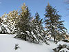 Skiing in Laklouk Lebanon by SKILEB.com