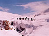 Snowshoeing in Zaarour