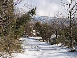 Keferdebiane winter nature Lebanon