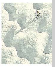 Moguls