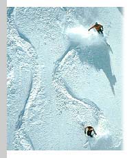 Powder