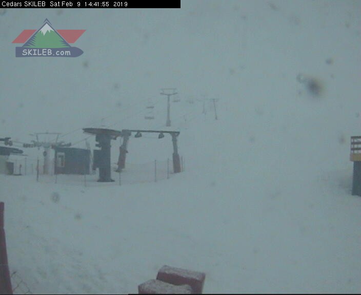 CEDARS Lebanon webcam on 02091014 by SKILEB.com