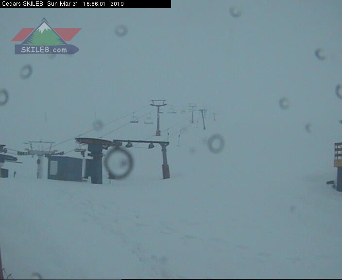 CEDARS Lebanon webcam on 03311322 by SKILEB.com
