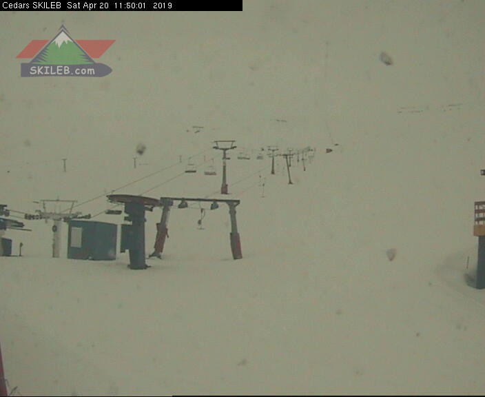 CEDARS Lebanon webcam on 04201211 by SKILEB.com