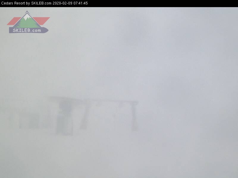 CEDARS Lebanon webcam on 02091014 by SKILEB.com